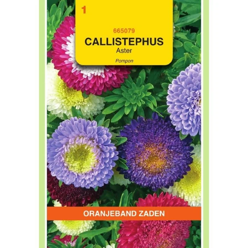 allesvoorongedierte2661124