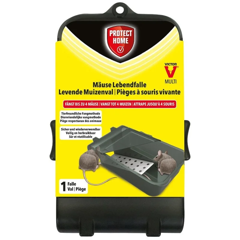allesvoorongedierte2668165