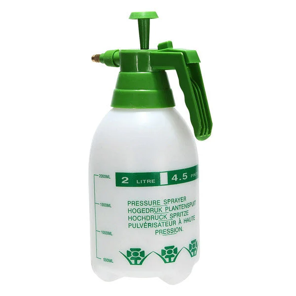 allesxl-12834634