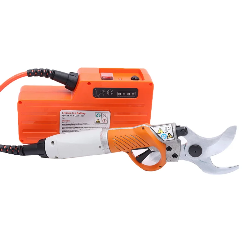 allesxl-13269677