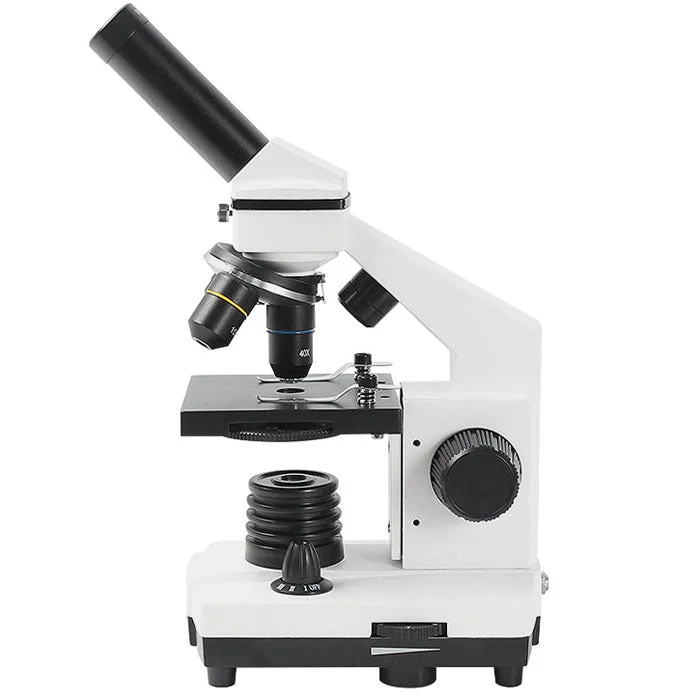 allesxl-13355347