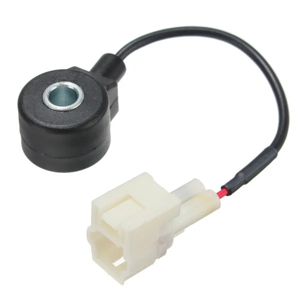 allesxl-22491888