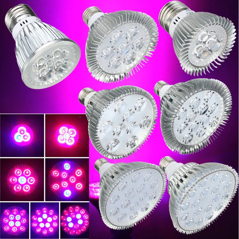 allesxl-22983854