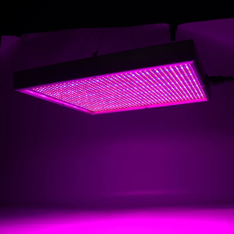 allesxl-32626759