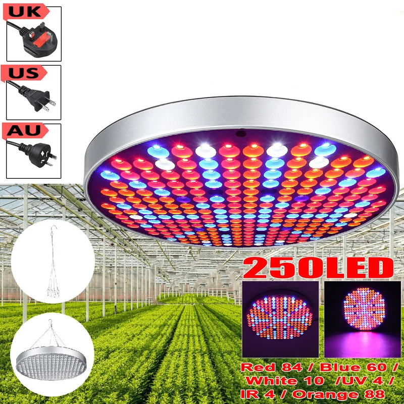 allesxl-32785615