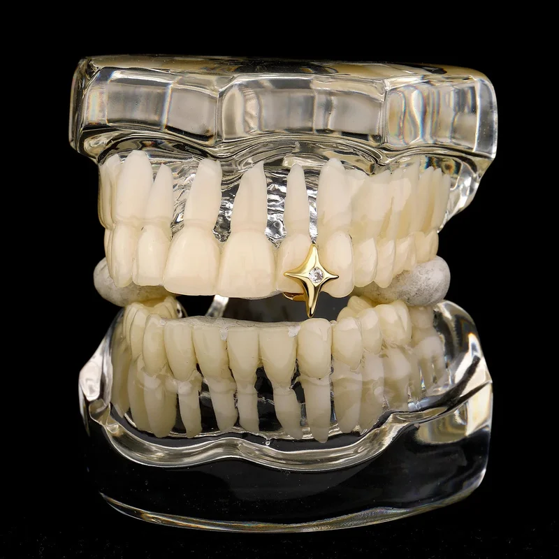 allesxl-32861730