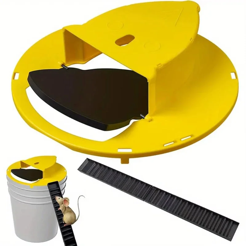 allesxl-33046058