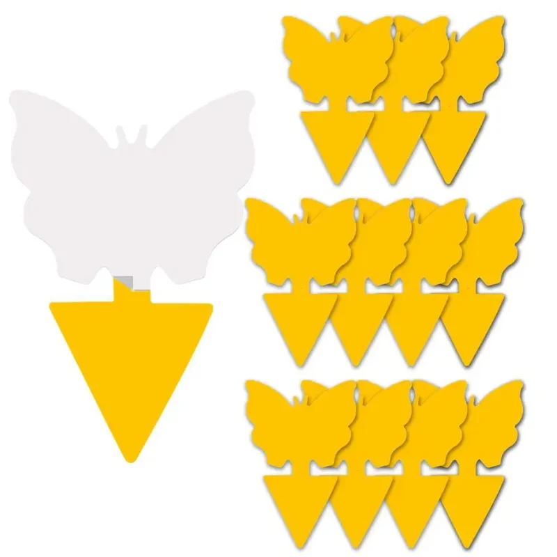 allesxl-33054972