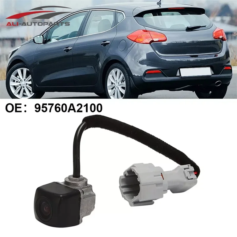 allesxl-33121626
