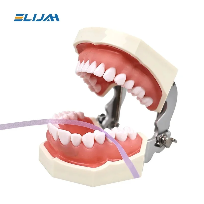 allesxl-33217969