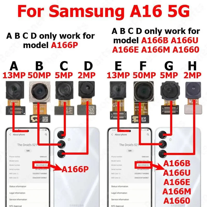 allesxl-33355185