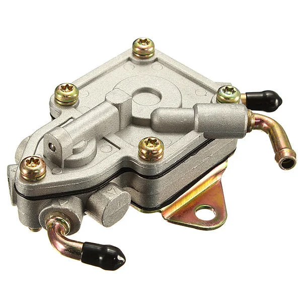 allesxl2403727