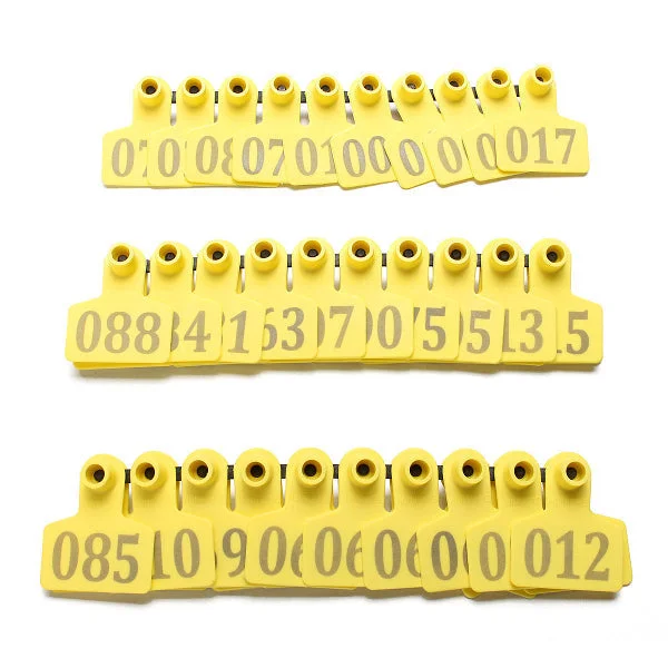 allesxl2406737