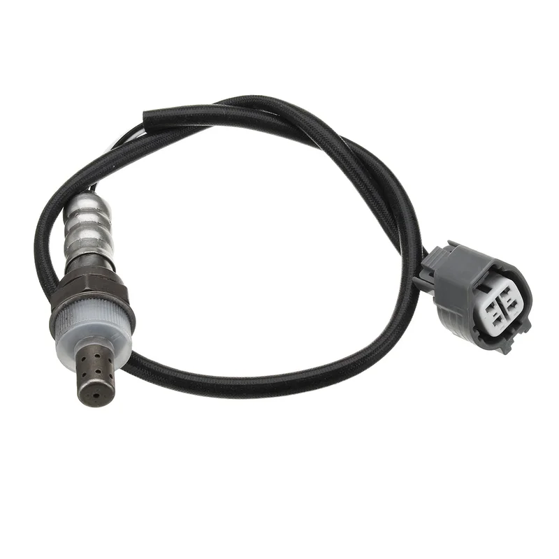 allesxl2488844