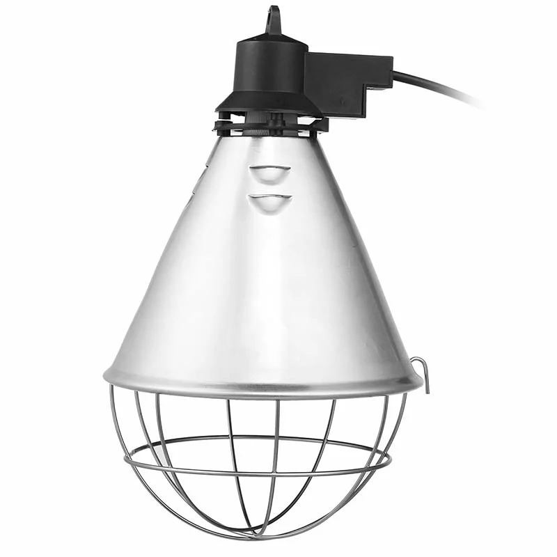 allesxl2558771