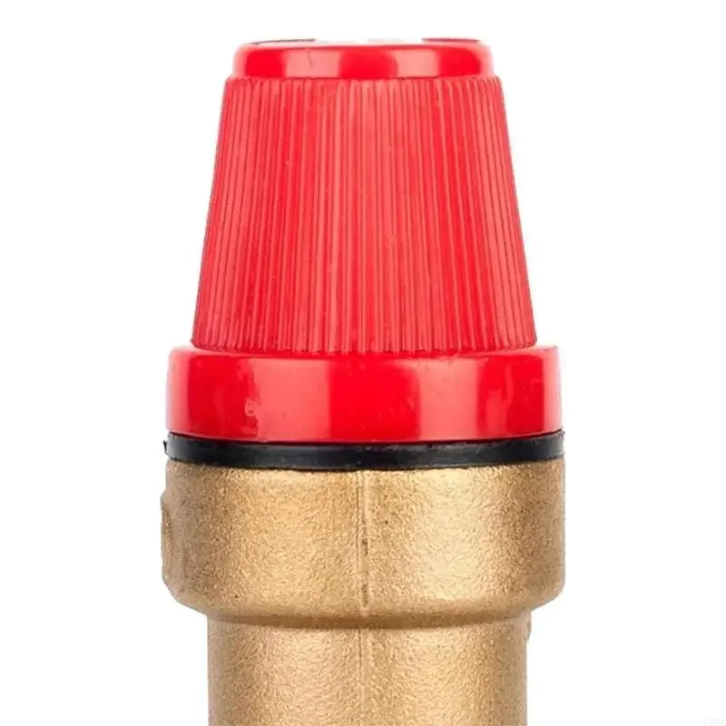 allesxl2663099