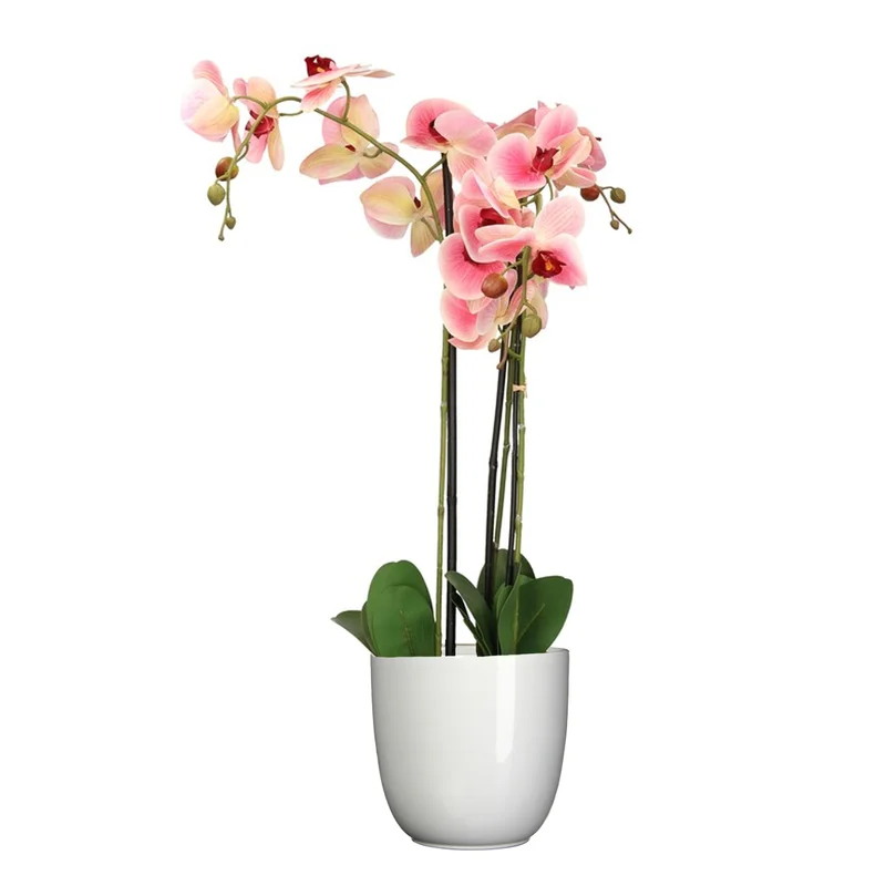 shoppartners-32602252