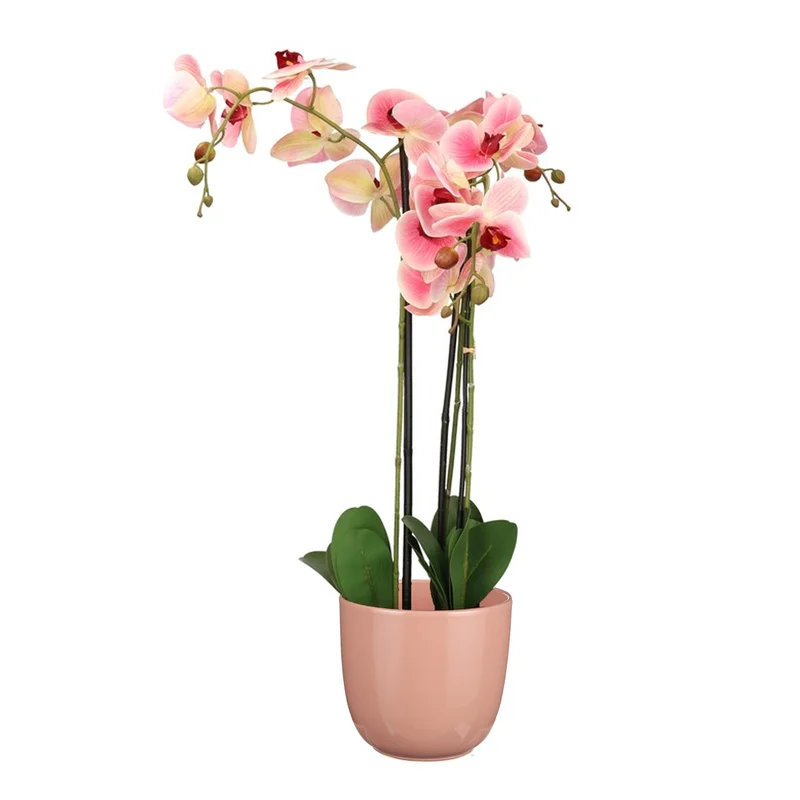 shoppartners-32602653