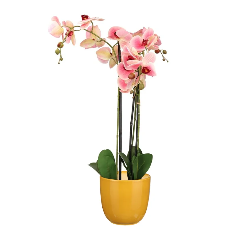 shoppartners-32602666