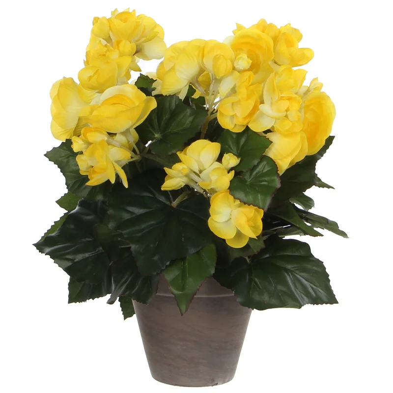 shoppartners-43071129