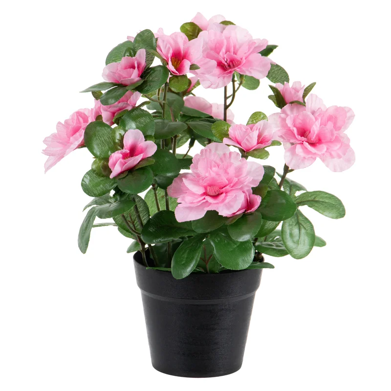shoppartners2567500