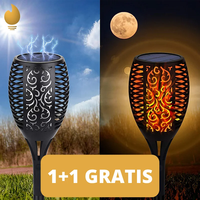 varenzo2473988