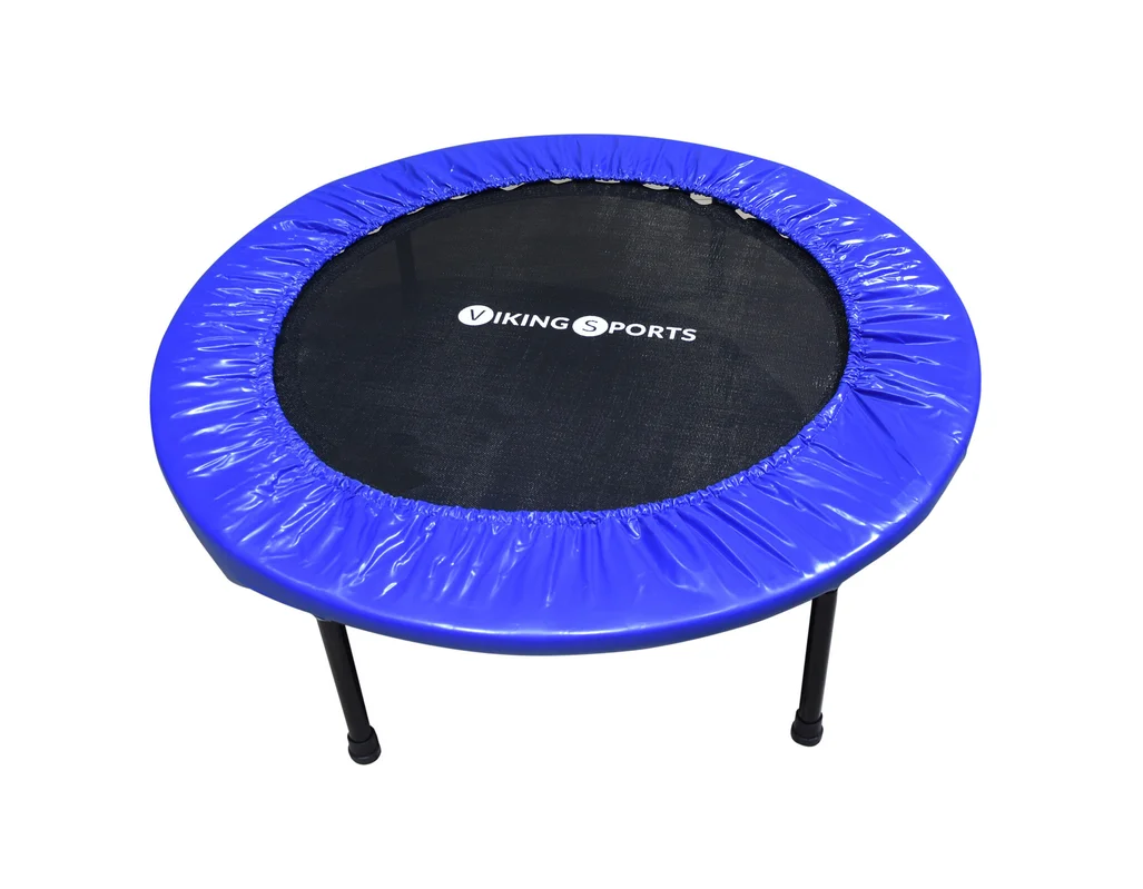 vikingchoice2349632