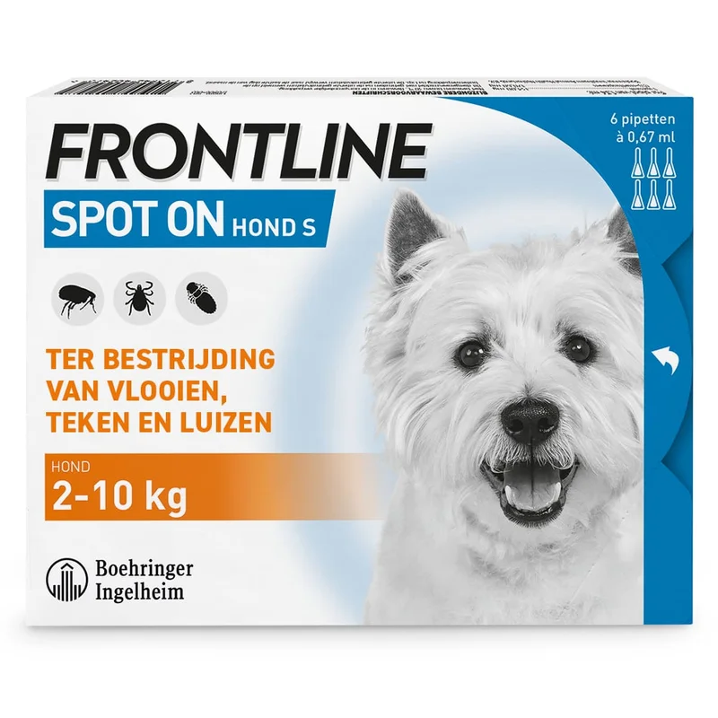welkoop2612505